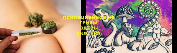 мдма Гатчина