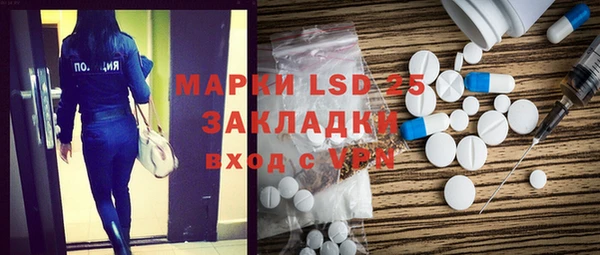 ГАЛЛЮЦИНОГЕННЫЕ ГРИБЫ Алзамай