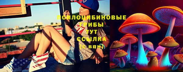 тгк Алексин
