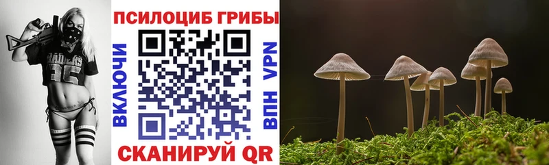 Псилоцибиновые грибы Cubensis Фатеж